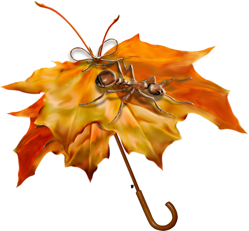 őszi állatok_162.png